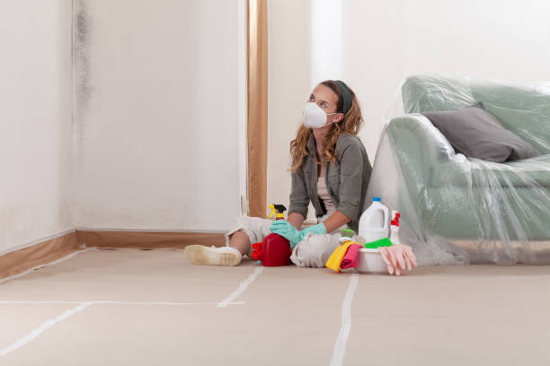 Reliable Mold Cleanup contractor in East Earl, PA by WQB Mold Removal